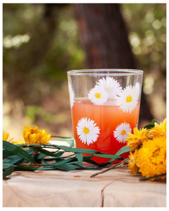 Vaso Margarita 2